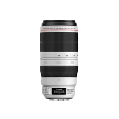Canon 100-400mm f/4.5-5.6 L IS II USM